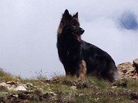 Ki-Shani